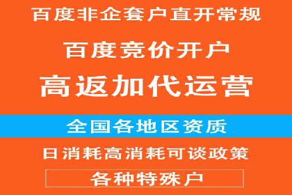 深度解析：百度竞价排名的成功案例及启示